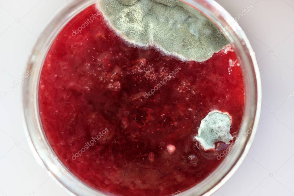 Mold on berry jam in a jar top view. Mold spores on conservation. Spoiled plum jam in a glass jar.