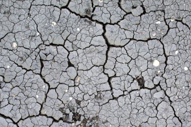 Kuru çatlak yeryüzü manzarası. Dünyada kuraklık mevsimi. Kabuklar ve kuru zemin, çevresel sorunlar ve küresel ısınma.