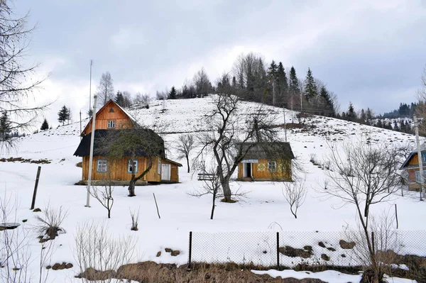 Holzhäuser Hang Eines Schneebedeckten Berges Dorf Hochland Grünflächen Schnee Und — Stockfoto
