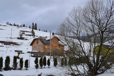 Köydeki karlı bir dağın kenarındaki ahşap evler. Dağlar, yeşil alanlar, kar ve küçük ahşap evler. Bulutlu havada kış manzarası.