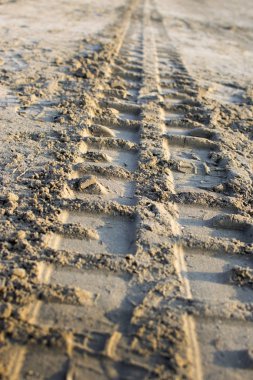 Arabanın kumundaki ayak izleri. Kumsalda çöp ve yosun temizleyen bir arabanın izleri var..
