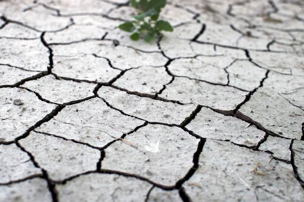 Dry soil texture background. Arid climate. surface detail, top view arid soil is dried and broken with large cracks