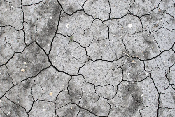 Dry Cracked Earth Top View Drought Season Earth Shells Dry — Stock Photo, Image