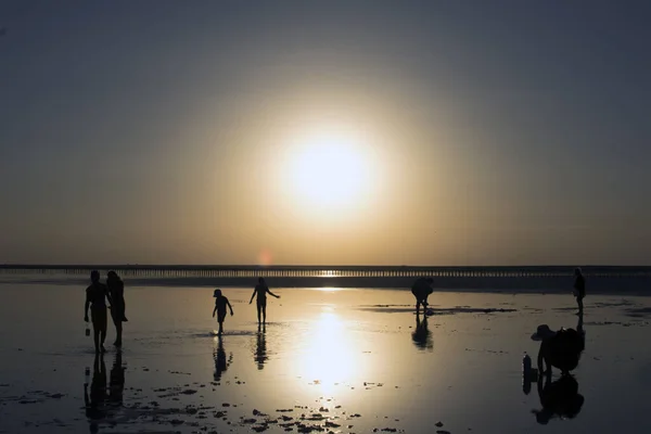 Silhouettes of people on a sunset background. People collect salt in the lake. Evening.