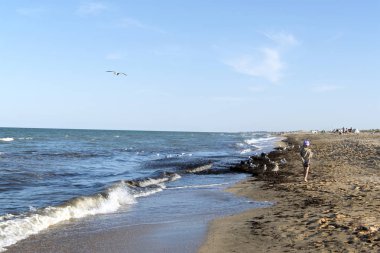 seashore, seagulls, waves, sand, the girl walks along the shore, is turned with her back