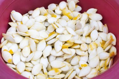 Freshly picked pumpkin seeds. Raw pumpkin seeds in a bowl, close-up