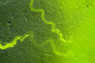 Boyalı bir duvarın dokusu. Çimento yeşili arka plan. Tümsekleri ve küçük çukurları olan duvar.