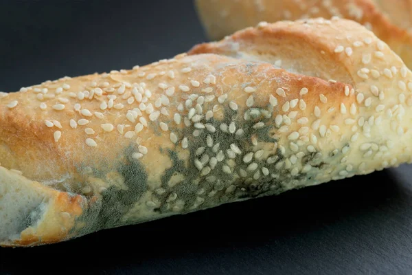 French baguette with sesame seeds mold covered. Moldy bread, spoiled dry baguette. Mold on flour products close-up.