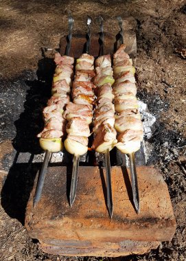 Şiş üzerindeki et parçaları sokakta kömürde kızartılıyor. Vahşi yaşam pikniği. Ormanda et pişiriyorum. Yangın tehlikesi, yasak