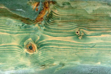 Düğümlerle boyanmış güzel yeşil tahta dokusu. Yaratıcı tahta arkaplan.