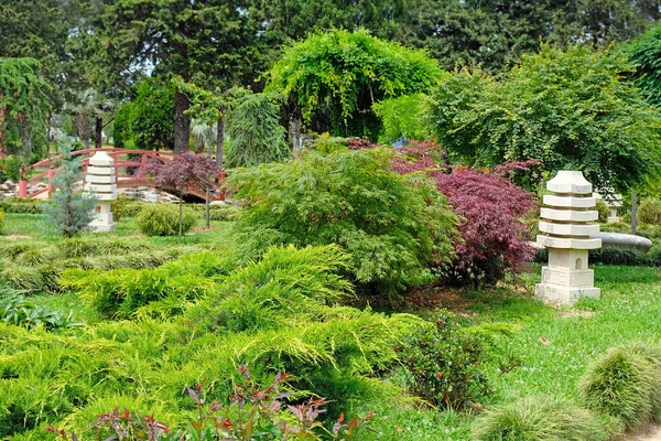 Piękny Park Evergreen Batumi Georgii Piękny Letni Krajobraz Ogrodzie Architektura — Zdjęcie stockowe