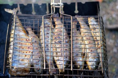 Izgara nehir alabalığı. Kömür bütün balığı kızartmış. Piknik, kamp, balıkçılık.