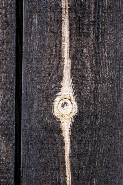 칠판에 줄무늬가 배경에 나뭇가지가 있습니다 수직으로 나무의 — 스톡 사진