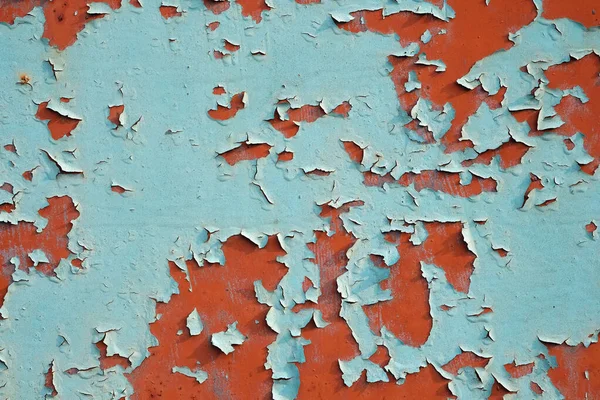 Peeling paint from a metal surface, background. Texture Blue paint peels off the surface of a brown metal sheet. The old wall is covered in blue and brown paint.