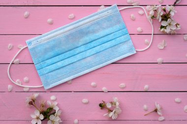 Pembe arka planda mavi tıbbi maske. Yüz maskesi, virüslere ve bakterilere karşı koruma. Tahta bir arka planda, çalı çırpı ve kiraz yapraklarıyla tek kullanımlık maske..