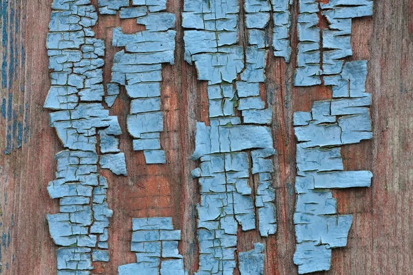 Pintura Vieja Agrietada Azul Sobre Fondo Madera Marrón Envejecido Textura — Foto de Stock