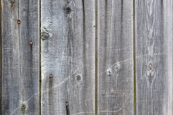 Gray Wooden Vertical Boards Nails Background Texture Old Fence Made — Stock Photo, Image