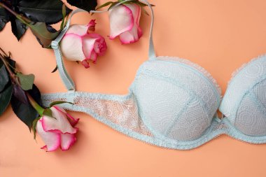 Bej arka planda güller olan açık yeşil sütyen. Dantelli ve çiçekli sutyen. Sevgili kadının için romantik hediye konsepti. Güzel iç çamaşırı satış sezonu.