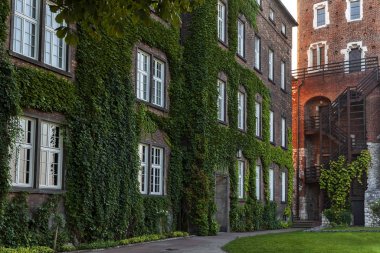 Wawel şatosu Krakow Polonya ile kaplı tuğla bina