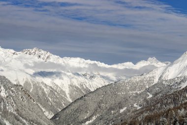 Kış manzarası; Mavi gökyüzü ve karla kaplı donmuş çam ağaçları ile kayak merkezinin üst manzarası.