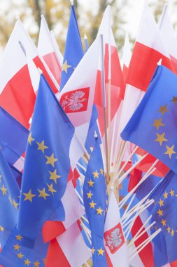 Polonya ve Avrupa Birliği bayrakları