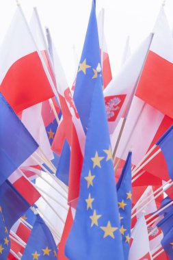 Polonya ve Avrupa Birliği bayrakları