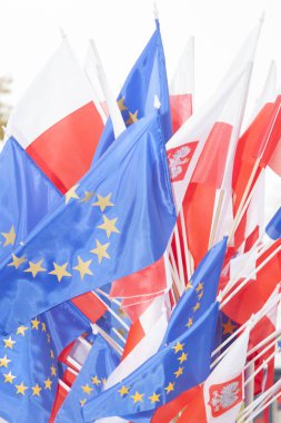 Polonya ve Avrupa Birliği bayrakları