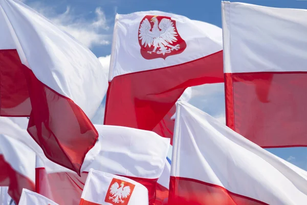 Wielu polskich flag Flying przed niebo — Zdjęcie stockowe