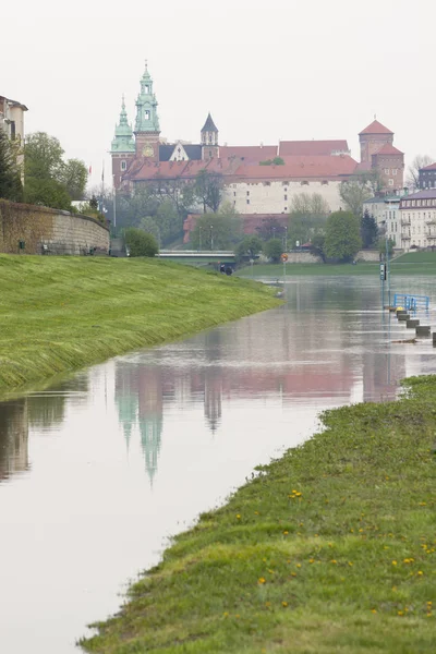 Poland, Krakow, Flooded River Bank — Stock Photo, Image