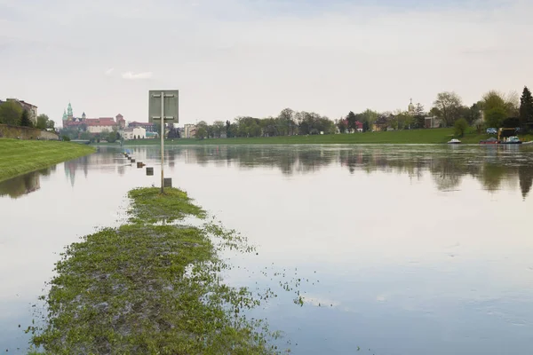 Polen, Krakau, überflutetes Flussufer — Stockfoto