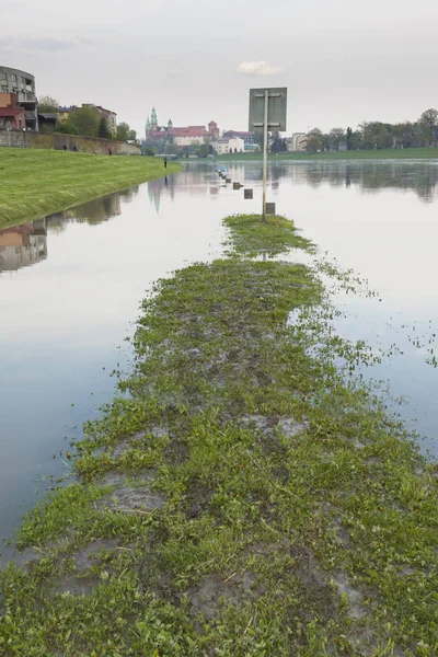 Polonia, Cracovia, ribera inundada — Foto de Stock