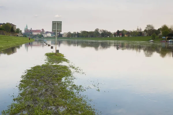 Polska, Kraków, zalane brzegu rzeki — Zdjęcie stockowe