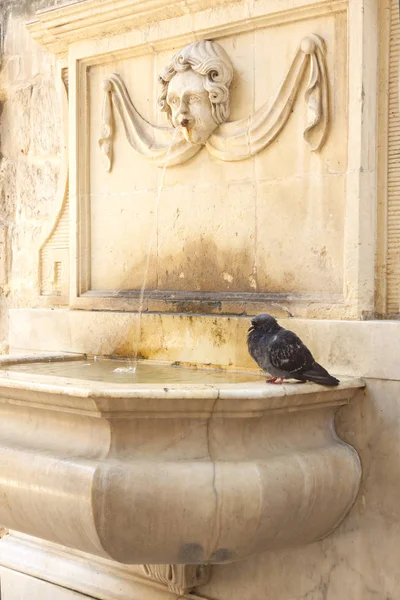 Malta, Valletta, Fonte na Catedral de São João — Fotografia de Stock