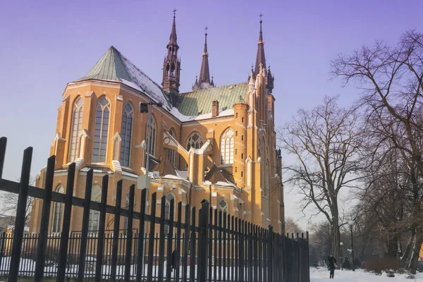 Polen, Radom, Kathedrale, Winter — Stockfoto