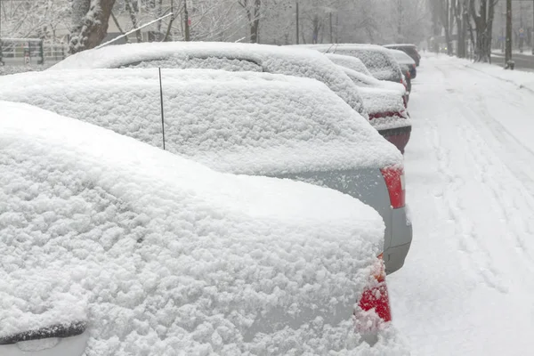 Snow-covered cars