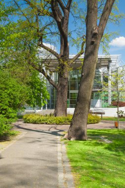 Polonya, Silezya, Gliwice, Chopin parkındaki Palm House, güneş ışığı, bahar