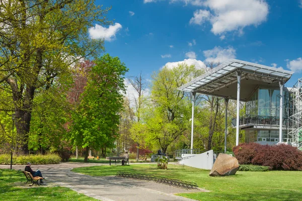 Polonya, Silezya, Gliwice, Chopin parkındaki Palm House, güneş ışığı, bahar