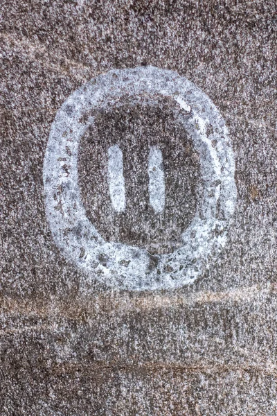 Petroglyph Anor Från Bronsåldern Nära Nykping Sverige — Stockfoto
