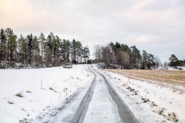Kış manzarası ve kırsal bir yol