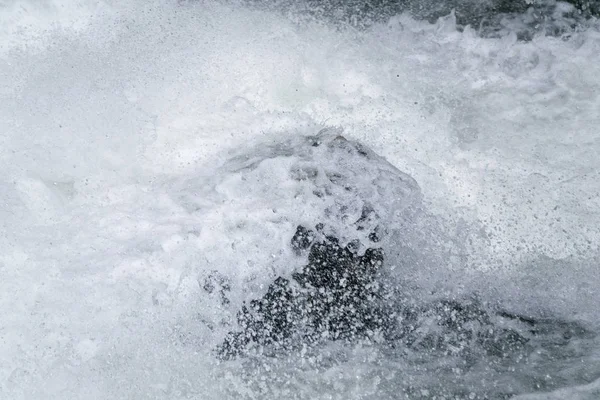 Rapid Water Foams Rock River — Stock Photo, Image
