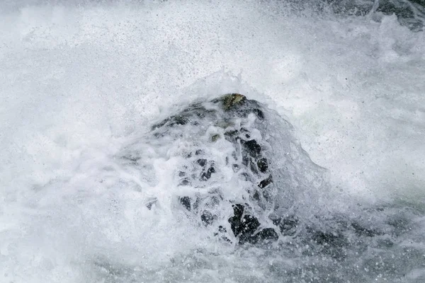 Rapid Water Foams Rock River — Stock Photo, Image