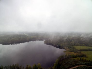 Bir göl ile ormanlık manzara