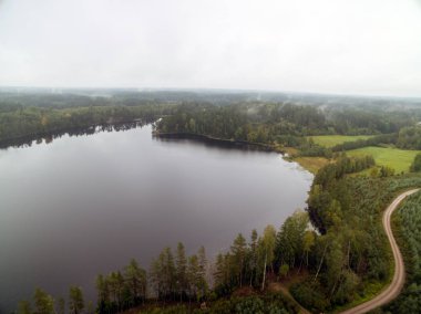 Bir göl ile ormanlık manzara