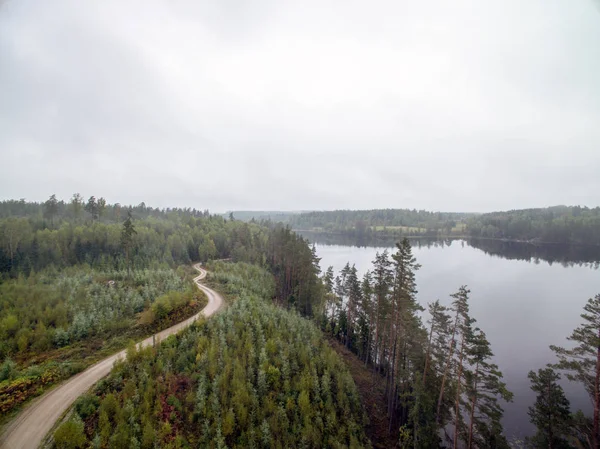 Paisaje arbolado con un lago — Foto de Stock