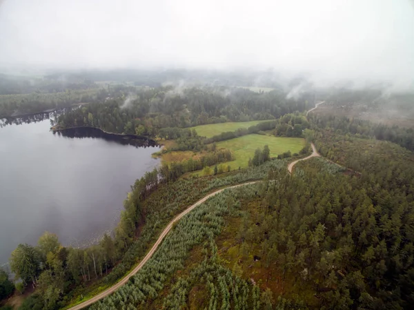 Bir göl ile ormanlık manzara