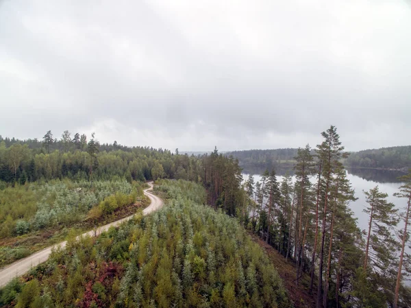 Bir göl ile ormanlık manzara