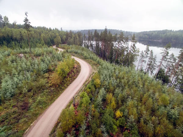 Bir göl ile ormanlık manzara