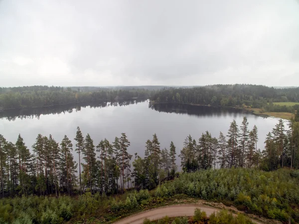 Trädbevuxna landskap med en sjö — Stockfoto