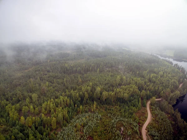 Bir göl ile ormanlık manzara
