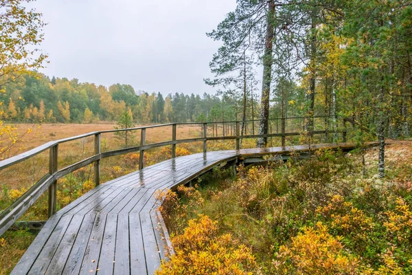 Lake bruksdamen in halleforsnas — Stockfoto